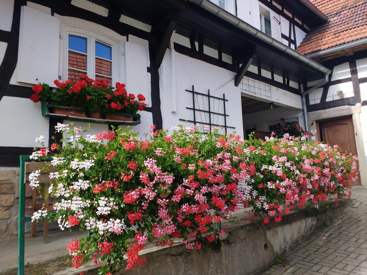 Chambres D'Hotes Sabine Billmann Hunspach Экстерьер фото
